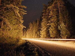 Preview wallpaper road, trees, long exposure, spruce