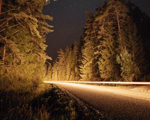 Preview wallpaper road, trees, long exposure, spruce