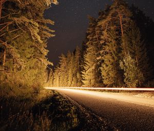 Preview wallpaper road, trees, long exposure, spruce