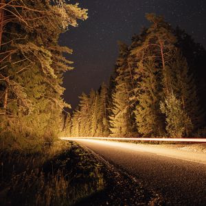 Preview wallpaper road, trees, long exposure, spruce