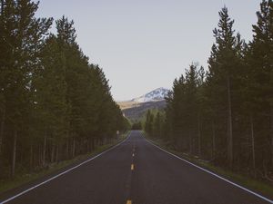 Preview wallpaper road, trees, marking