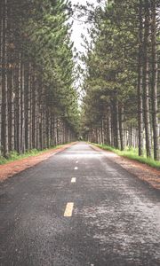 Preview wallpaper road, trees, marking