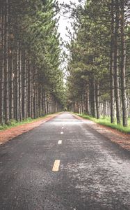 Preview wallpaper road, trees, marking