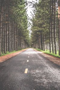 Preview wallpaper road, trees, marking