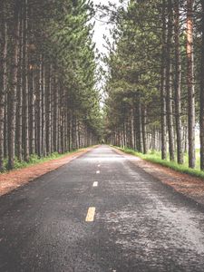 Preview wallpaper road, trees, marking