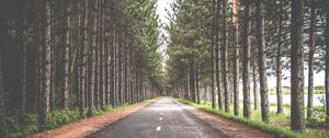 Preview wallpaper road, trees, marking