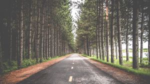 Preview wallpaper road, trees, marking