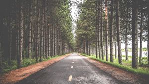 Preview wallpaper road, trees, marking