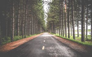 Preview wallpaper road, trees, marking