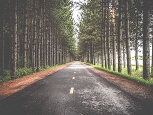 Preview wallpaper road, trees, marking