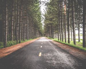 Preview wallpaper road, trees, marking