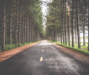 Preview wallpaper road, trees, marking