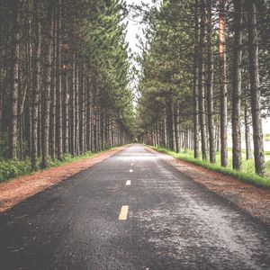 Preview wallpaper road, trees, marking