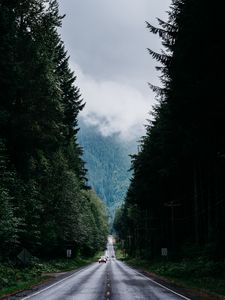 Preview wallpaper road, trees, marking, fog, forest, movement