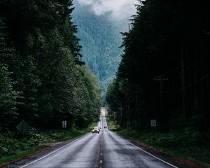 Preview wallpaper road, trees, marking, fog, forest, movement