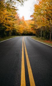 Preview wallpaper road, trees, marking, autumn