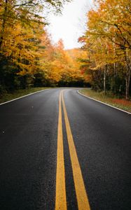 Preview wallpaper road, trees, marking, autumn