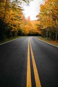 Preview wallpaper road, trees, marking, autumn