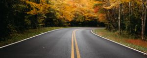 Preview wallpaper road, trees, marking, autumn