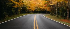 Preview wallpaper road, trees, marking, autumn