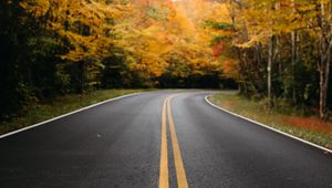 Preview wallpaper road, trees, marking, autumn