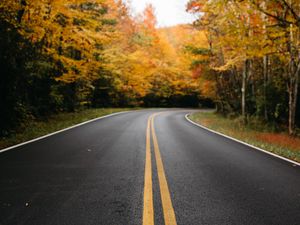 Preview wallpaper road, trees, marking, autumn