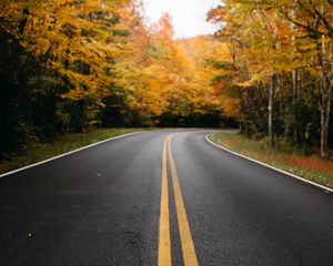 Preview wallpaper road, trees, marking, autumn