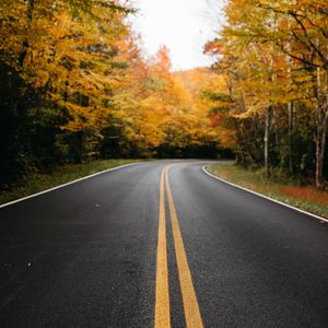 Preview wallpaper road, trees, marking, autumn