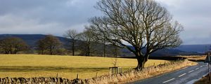 Preview wallpaper road, trees, marking, asphalt, stones, protection, clearly