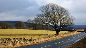 Preview wallpaper road, trees, marking, asphalt, stones, protection, clearly