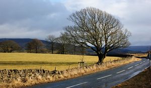 Preview wallpaper road, trees, marking, asphalt, stones, protection, clearly