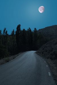 Preview wallpaper road, trees, moon, night