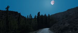 Preview wallpaper road, trees, moon, night