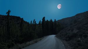 Preview wallpaper road, trees, moon, night