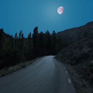 Preview wallpaper road, trees, moon, night