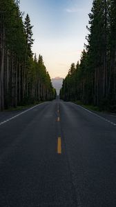 Preview wallpaper road, trees, mountain, peak, nature