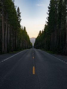 Preview wallpaper road, trees, mountain, peak, nature