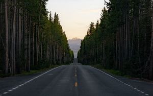 Preview wallpaper road, trees, mountain, peak, nature