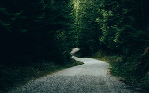 Preview wallpaper road, trees, mountains, forest, nature