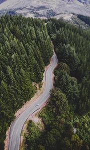 Preview wallpaper road, trees, movement, top view