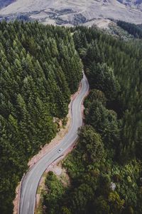 Preview wallpaper road, trees, movement, top view