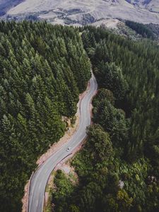 Preview wallpaper road, trees, movement, top view