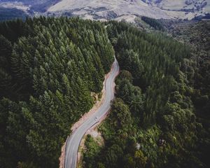 Preview wallpaper road, trees, movement, top view