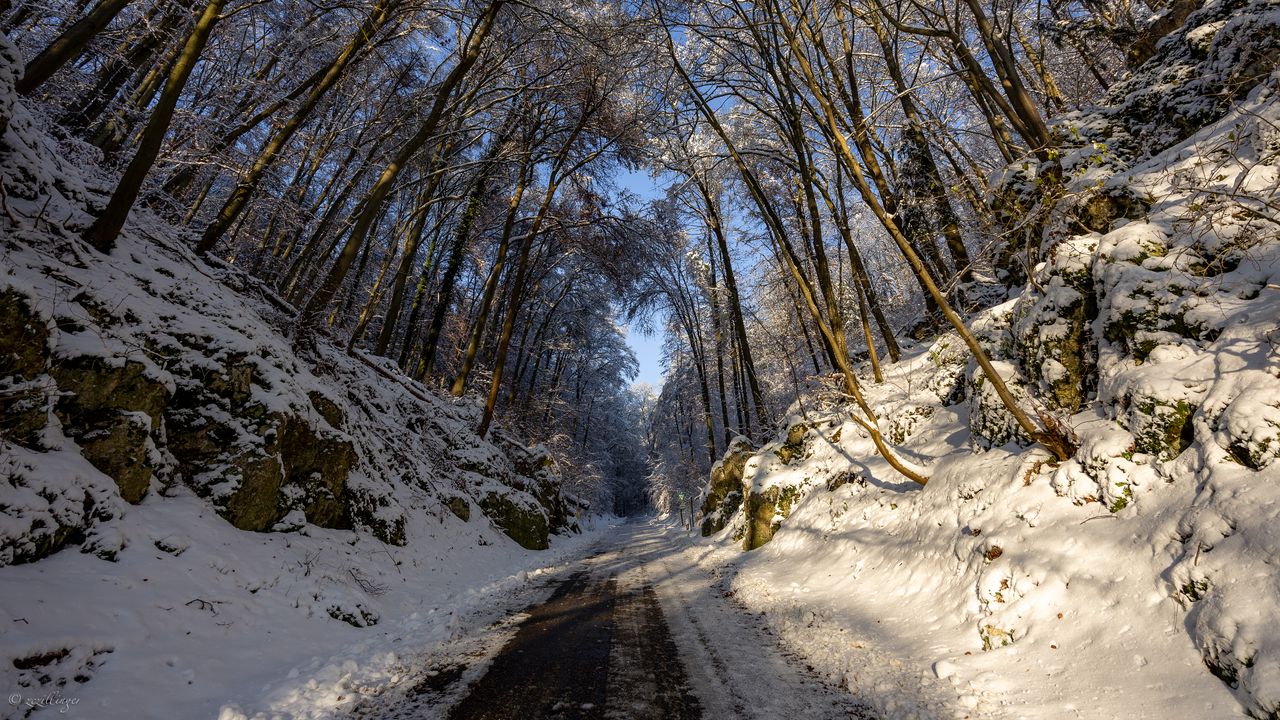 Wallpaper road, trees, nature, forest, snow, winter, landscape