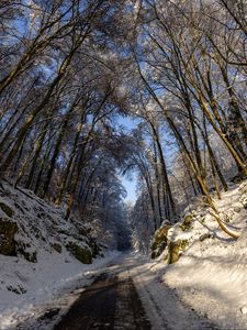 Preview wallpaper road, trees, nature, forest, snow, winter, landscape