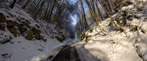 Preview wallpaper road, trees, nature, forest, snow, winter, landscape