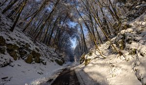 Preview wallpaper road, trees, nature, forest, snow, winter, landscape