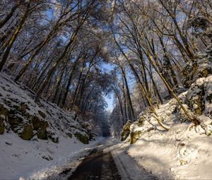 Preview wallpaper road, trees, nature, forest, snow, winter, landscape