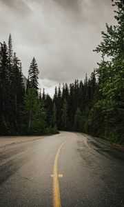 Preview wallpaper road, trees, nature, asphalt