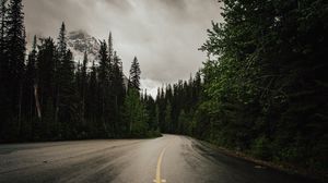 Preview wallpaper road, trees, nature, asphalt